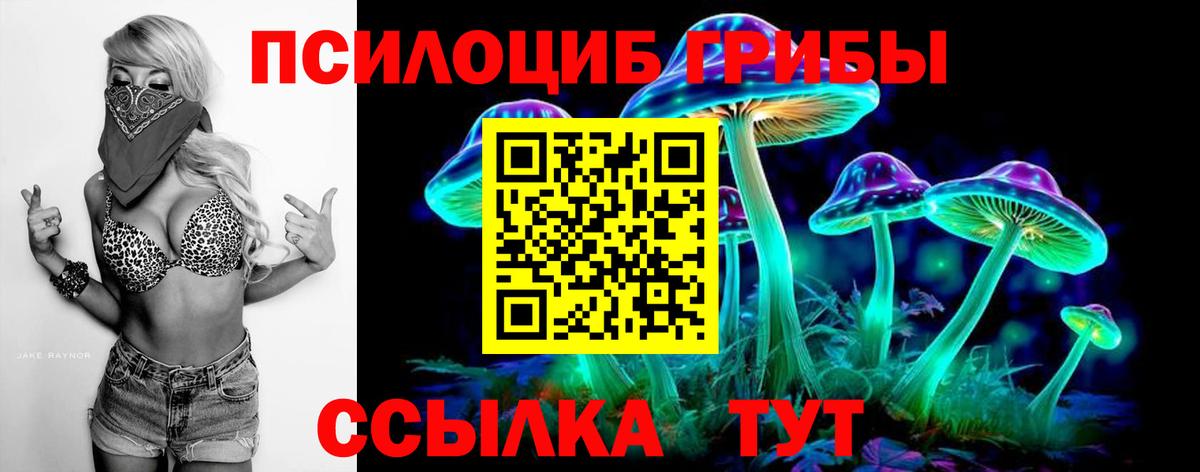 Псилоцибиновые грибы MAGIC MUSHROOMS  Вход с VPN  закладки  Обь 